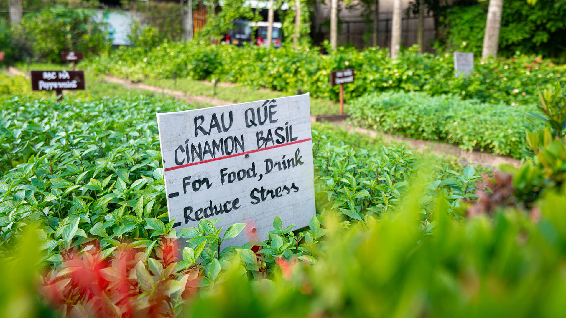 cham-ban-sac-da-nang